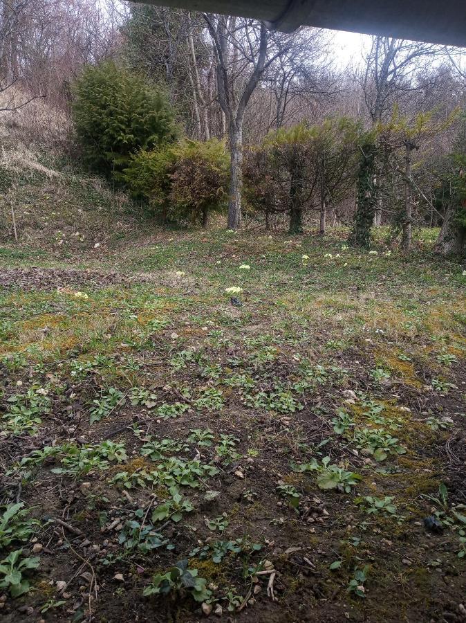 Holiday Home Nature Plesivica 자스트레바르스코 외부 사진